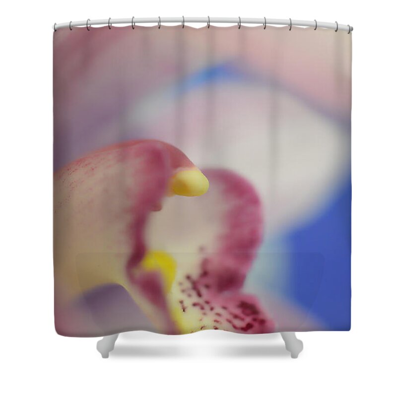 Orchid Shower Curtain featuring the photograph Alien Emerges by Donna Blackhall