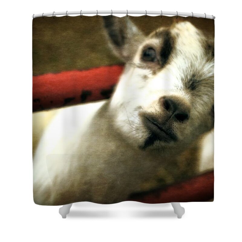 Nose Shower Curtain featuring the photograph All in the Attitude by Michelle Calkins