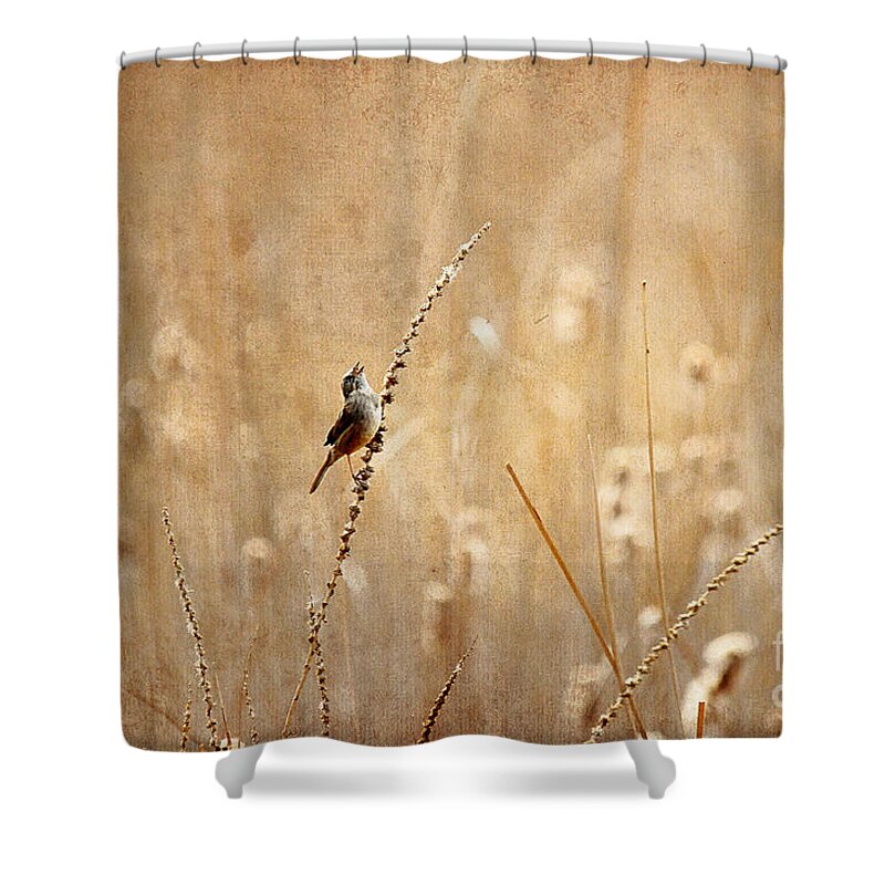 Bird Shower Curtain featuring the photograph All Rejoicing by Lois Bryan