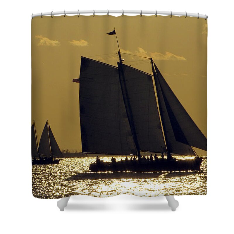Sea Shower Curtain featuring the photograph All Sails Sunset in Key West by Bob Slitzan