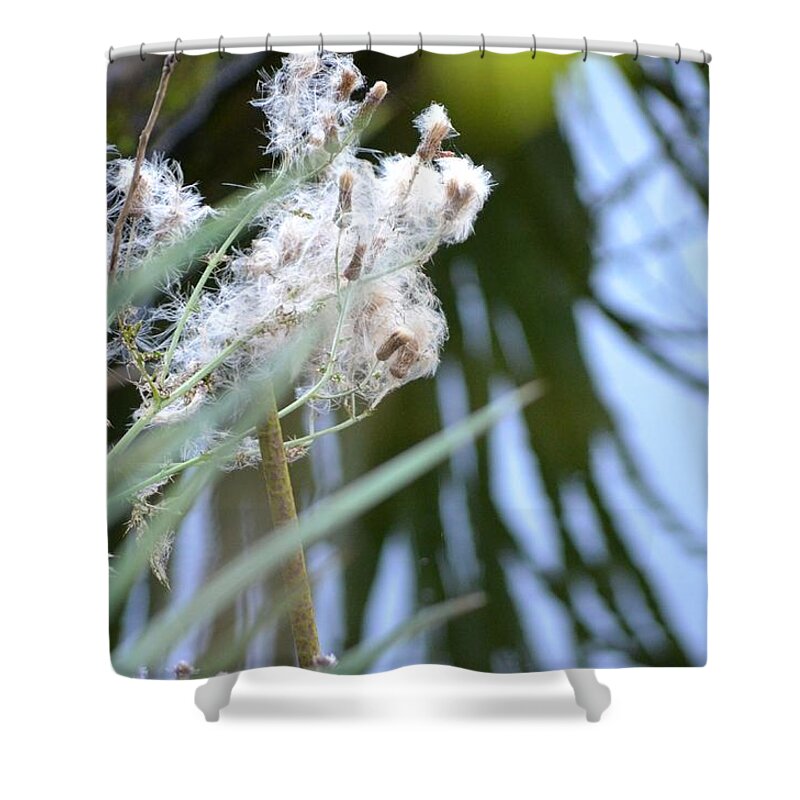 Marsh Shower Curtain featuring the photograph All the World is Fluff and Posture by Laureen Murtha Menzl