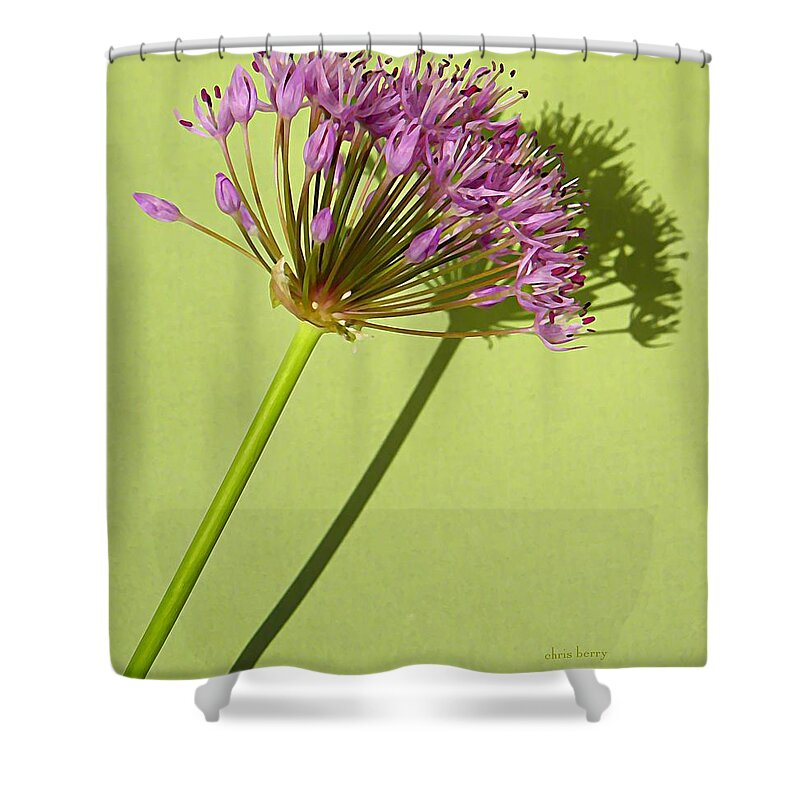 Allium Shower Curtain featuring the photograph Allium by Chris Berry
