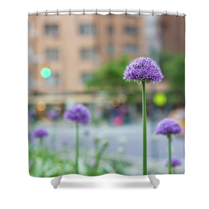 Columbus Circle Shower Curtain featuring the photograph Allium Giganteum With Columbus Circle by Arata Photography