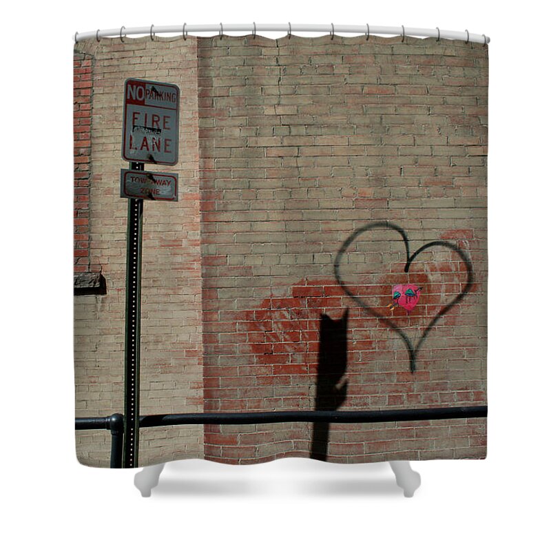 Love Shower Curtain featuring the photograph Allyway Theater by Ric Bascobert