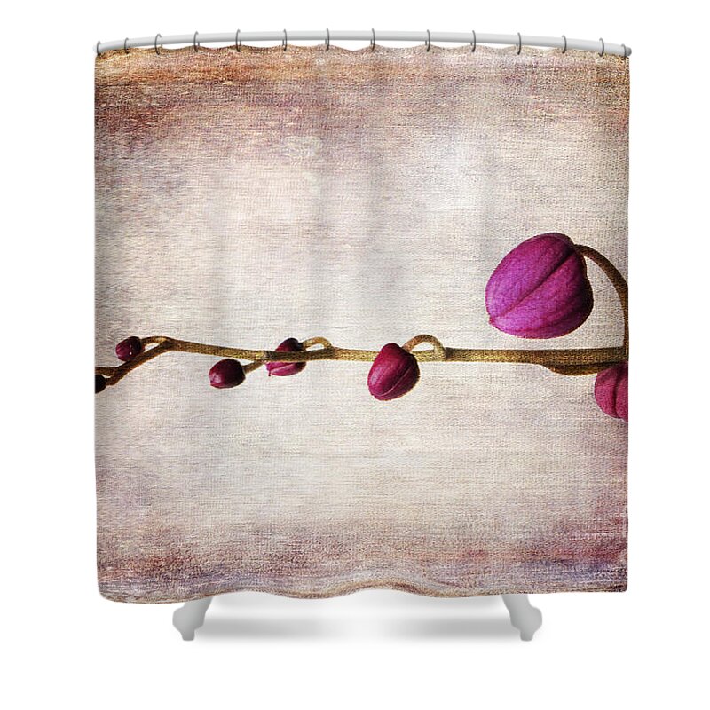 Vintage Shower Curtain featuring the photograph Almost There by Randi Grace Nilsberg