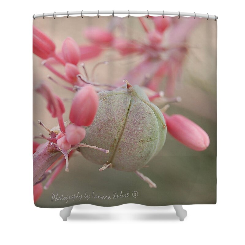 Tamara Kulish Shower Curtain featuring the photograph Aloe Flower 3 by Tamara Kulish