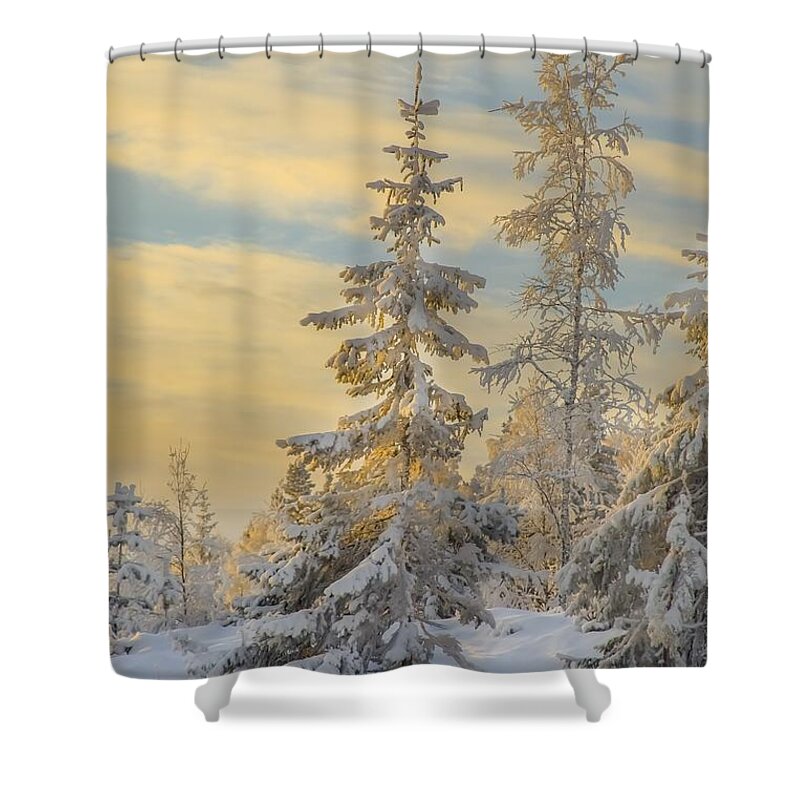 Landscape Shower Curtain featuring the photograph Alone but Strong by Rose-Maries Pictures