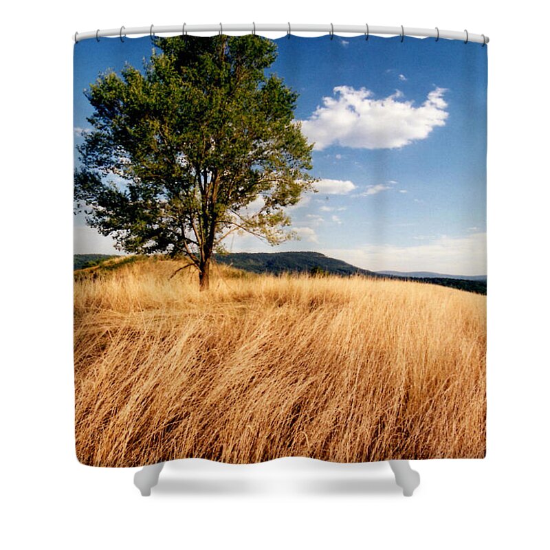 Tree Shower Curtain featuring the photograph Alone on a Hill by Laura Corebello