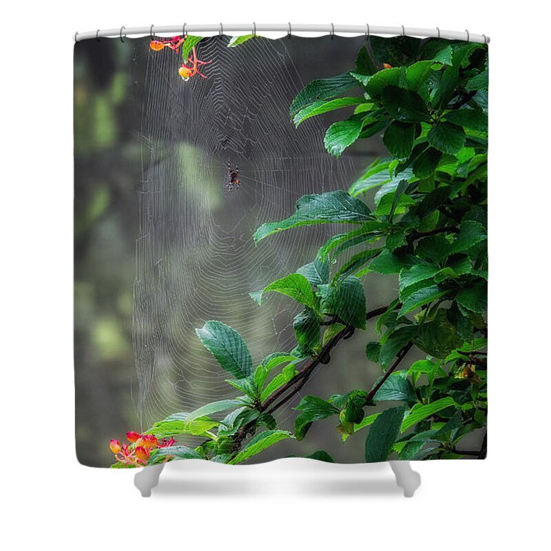 Spider Shower Curtain featuring the photograph Along Came A Spider by Bill Wakeley
