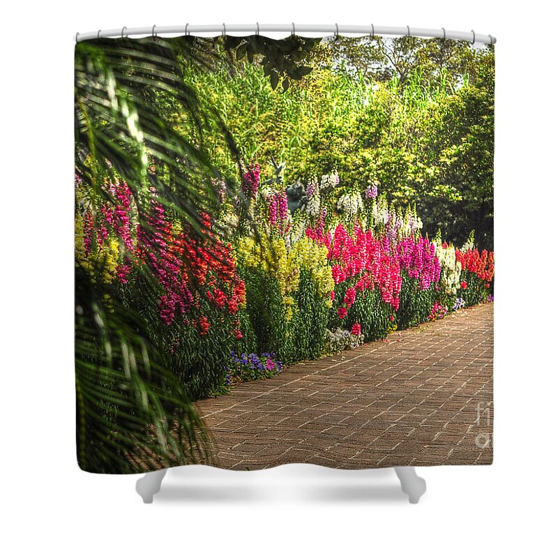 Garden Shower Curtain featuring the photograph Along The Garden Path by Kathy Baccari