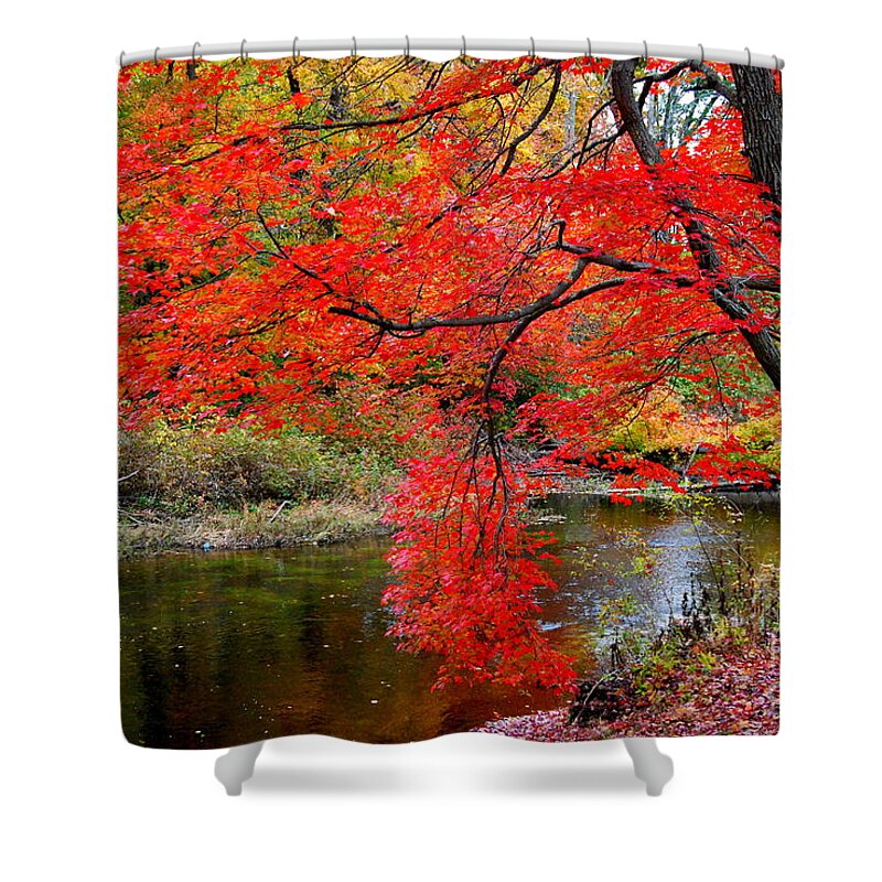New Hampshire Shower Curtain featuring the photograph Along The Lamprey by Eunice Miller