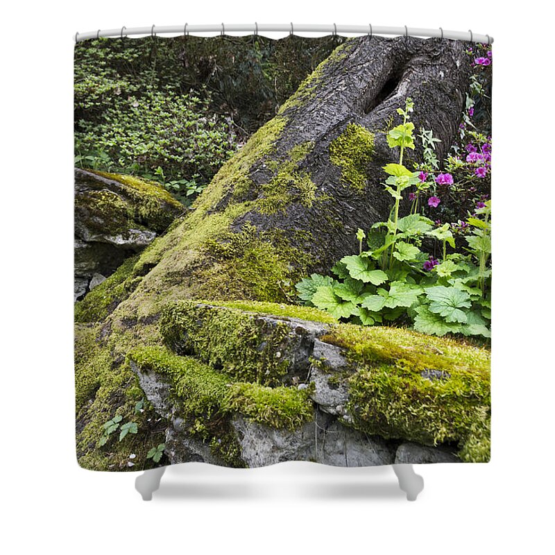 Nature Shower Curtain featuring the photograph Along The Pathway by Priya Ghose