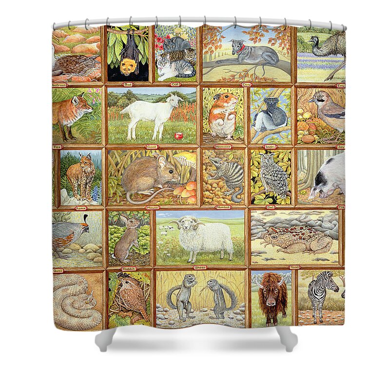 Albatross Shower Curtain featuring the painting Alphabetical Animals by Ditz
