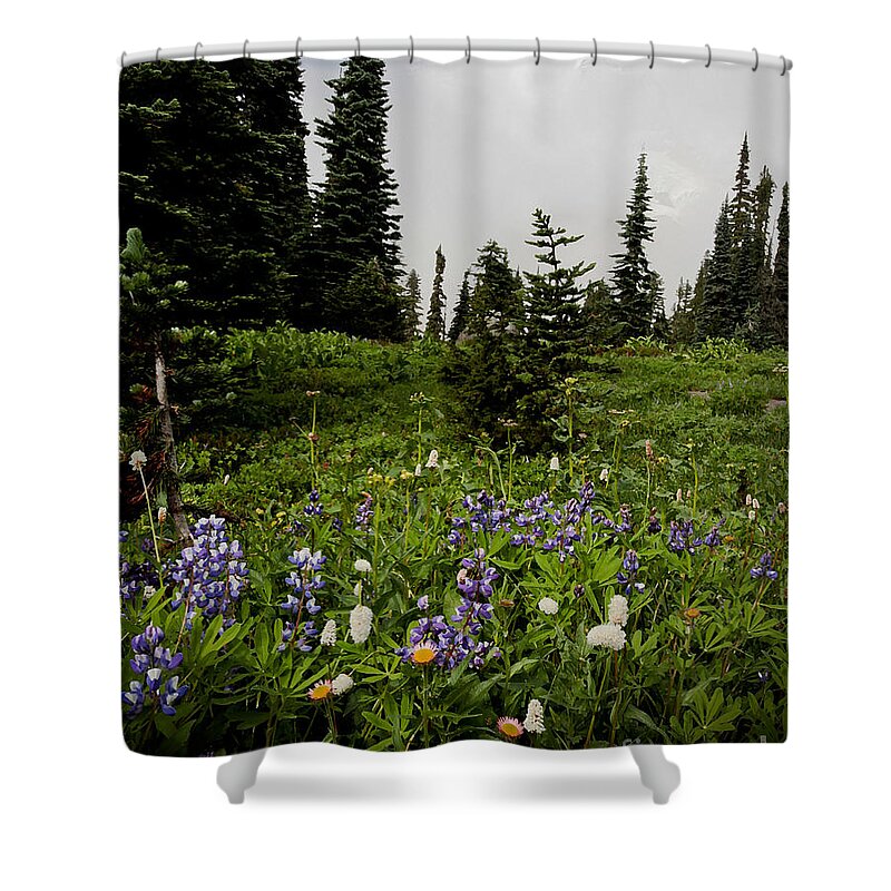 Alpine Beauty Shower Curtain featuring the photograph Alpine Beauty by Karen Lee Ensley