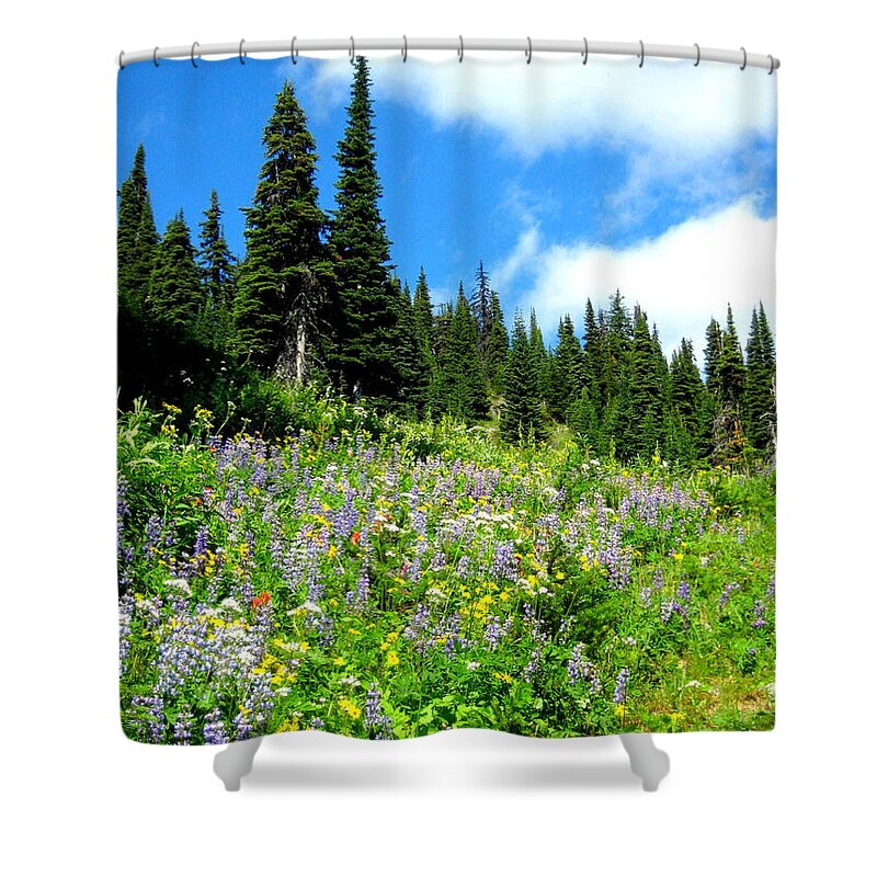 Alpine Shower Curtain featuring the photograph Alpine Walk by Kathy Bassett