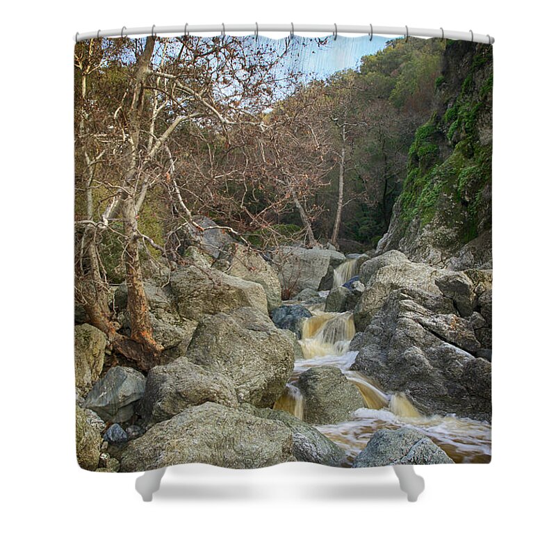Sunol Ohlone Regional Wilderness Shower Curtain featuring the photograph Always in My Heart by Laurie Search