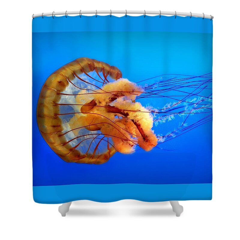 Jellyfish Shower Curtain featuring the photograph Amber Seduction by Micki Findlay