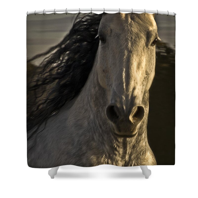 Andalusia Shower Curtain featuring the photograph Americano 3 by Catherine Sobredo