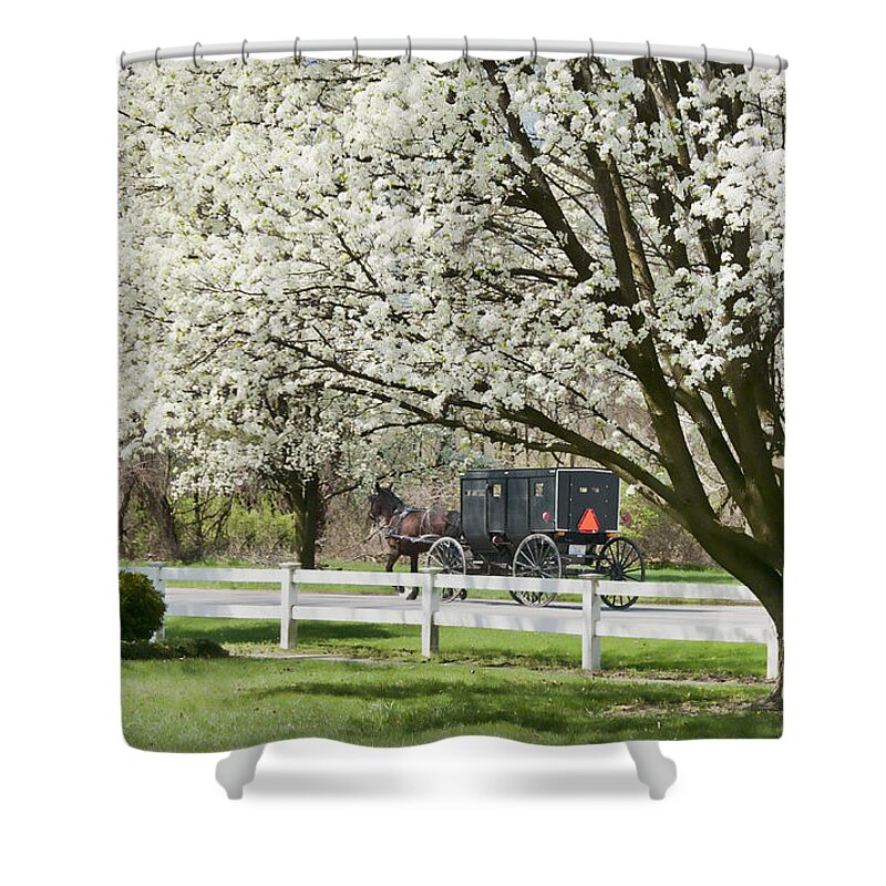 Spring Shower Curtain featuring the photograph Amish Buggy Fowering Tree by David Arment