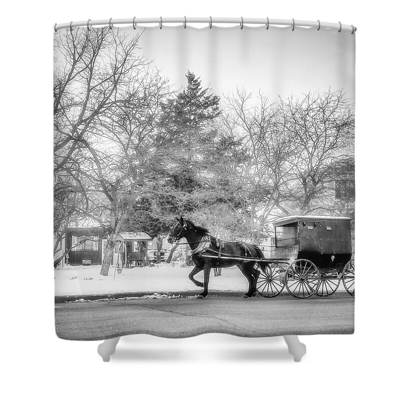 Amish Shower Curtain featuring the photograph Amish Buggy by Tom Gort