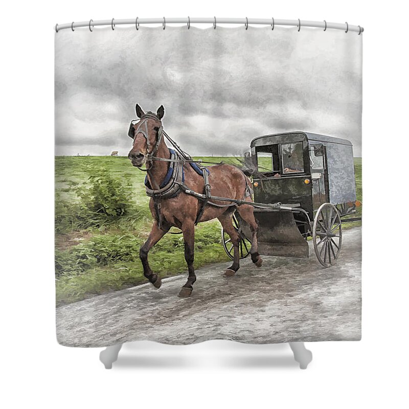 Horse Shower Curtain featuring the photograph Amish Country by Linda Blair