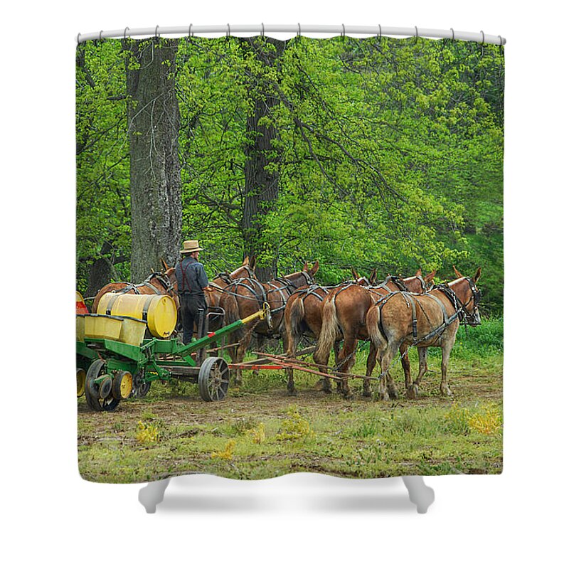 Amish Shower Curtain featuring the photograph Six Mule Team by Dyle  Warren