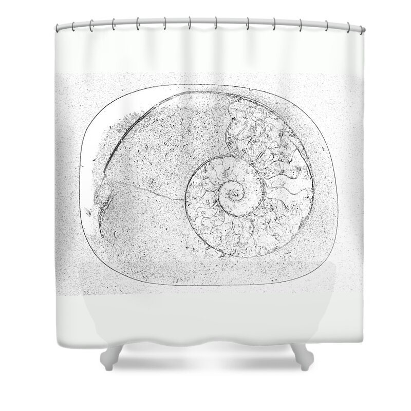 Ammonite Shower Curtain featuring the photograph Ammonite by Nigel Radcliffe