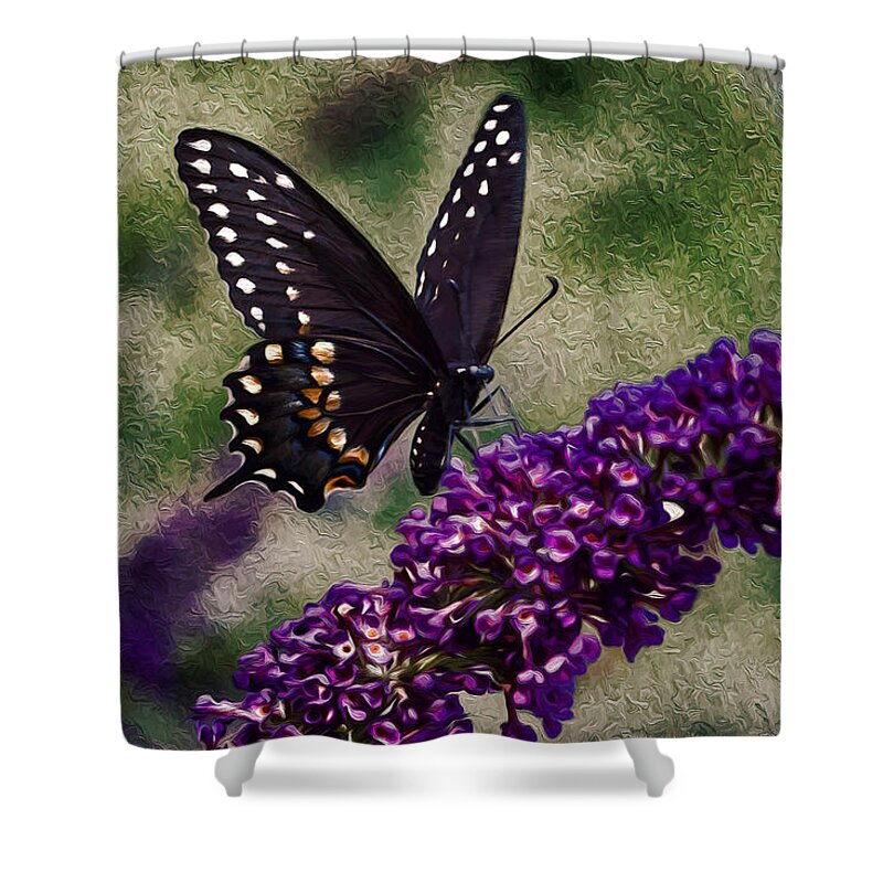 Black Butterflies Shower Curtain featuring the photograph An afternoon visitor by Jeff Folger