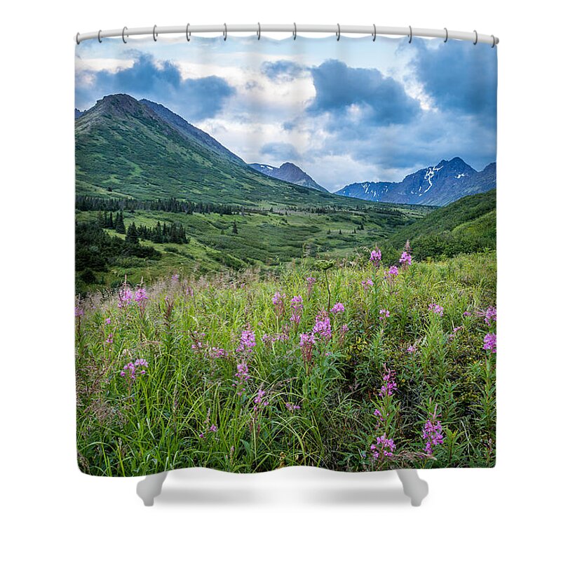 Alaska Shower Curtain featuring the photograph An Evening Walk by Tim Newton