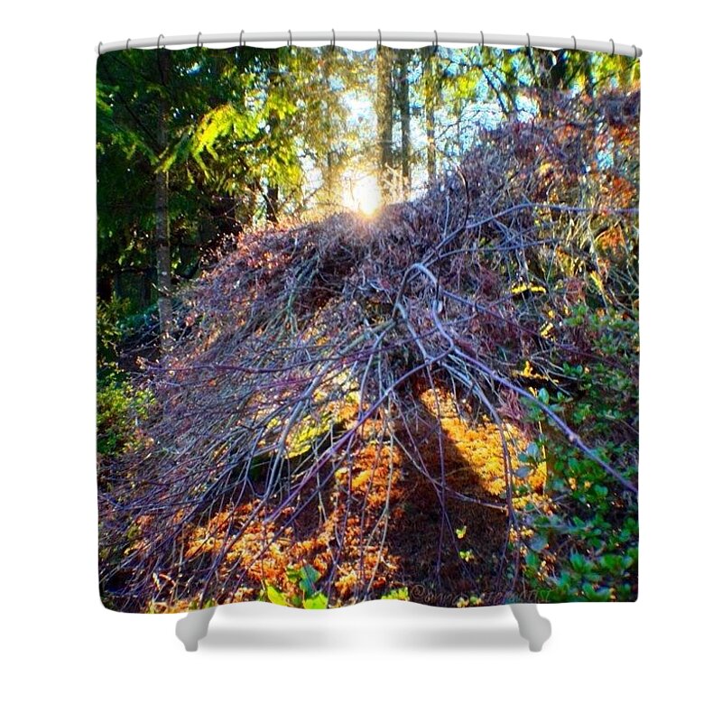 Sunlight Shower Curtain featuring the photograph And Then The Sun Came Out by Anna Porter