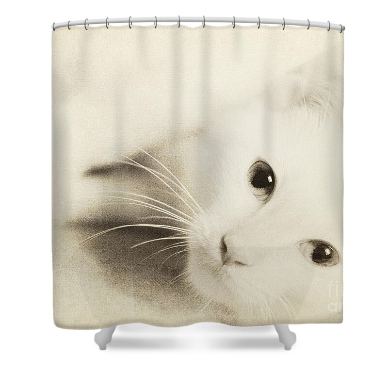 Cat Shower Curtain featuring the photograph Angel Baby by Pam Holdsworth