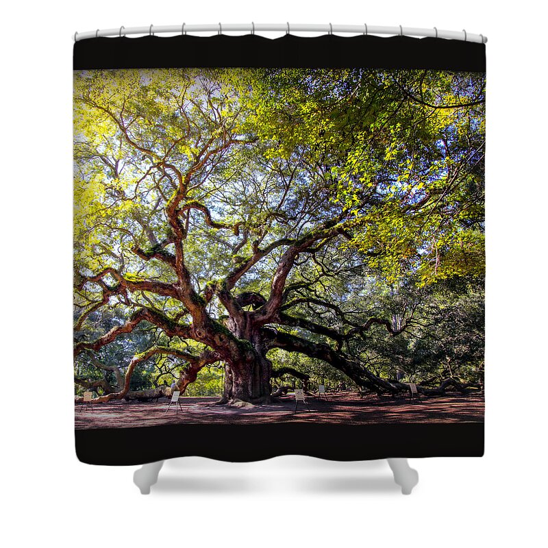Angel Oak Tree Shower Curtain featuring the photograph ANGEL of TIME by Karen Wiles