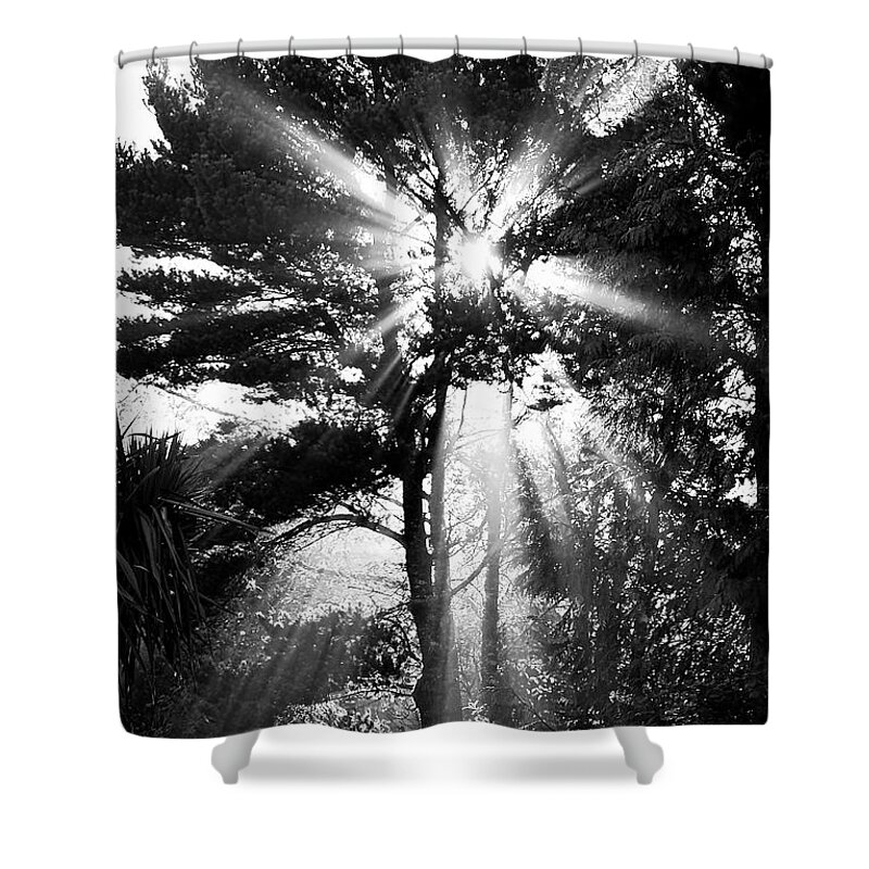Sun Shower Curtain featuring the photograph Angel Sun by Loni Collins