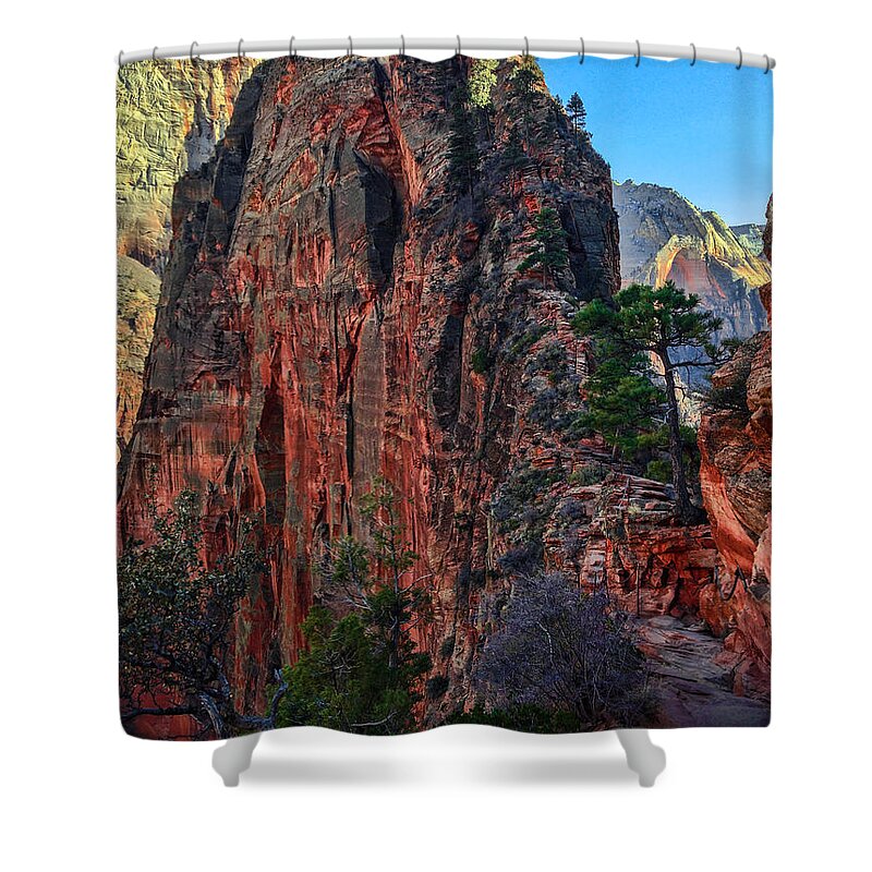Zion Shower Curtain featuring the photograph Angel's Landing by Chad Dutson