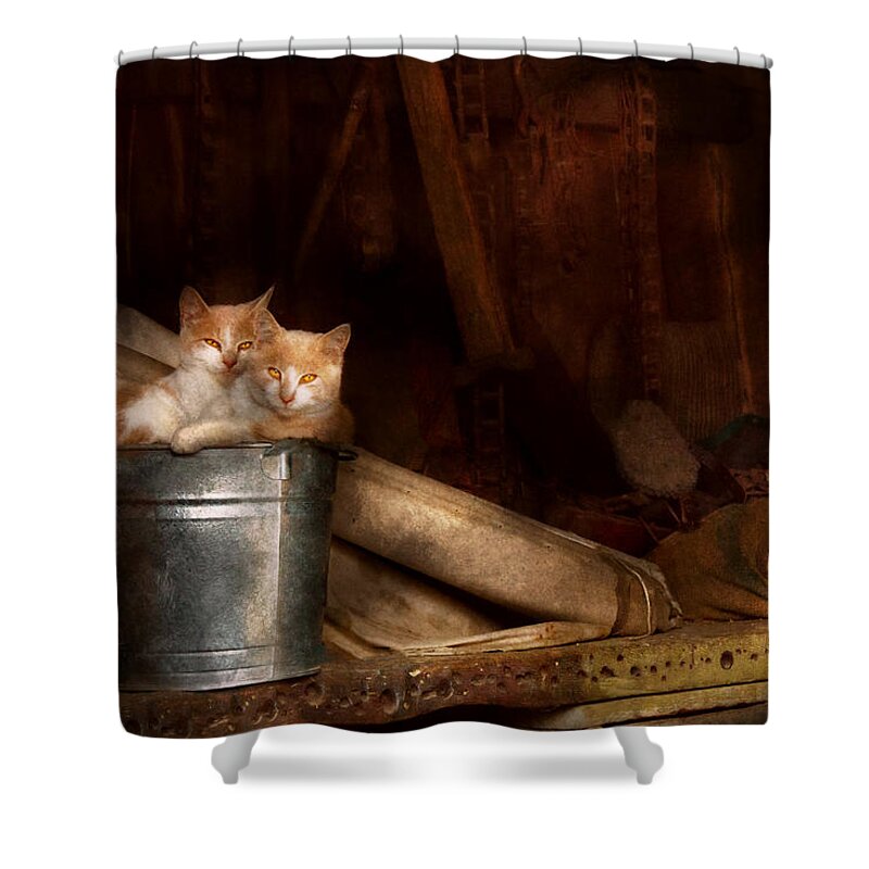 Cat Shower Curtain featuring the photograph Animal - Cat - Bucket of fun by Mike Savad