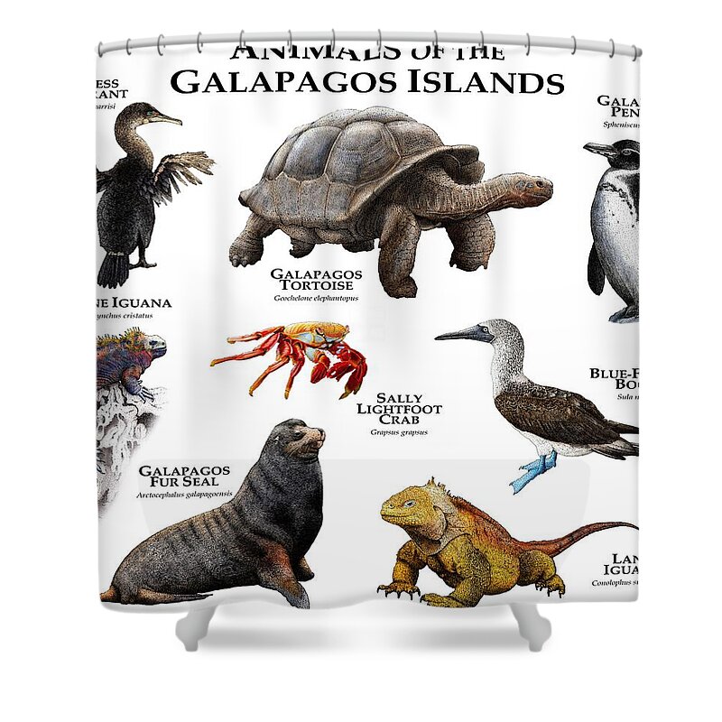 Animal Shower Curtain featuring the photograph Animals Of The Galapagos Islands by Roger Hall