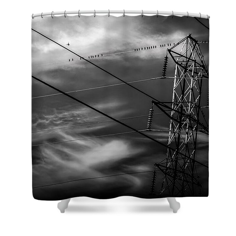 Archbold Shower Curtain featuring the photograph Anitcipation by Michael Arend