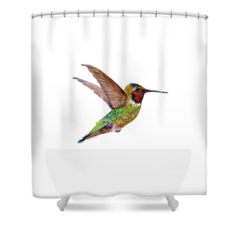 Bird Shower Curtain featuring the painting Anna Hummingbird by Amy Kirkpatrick