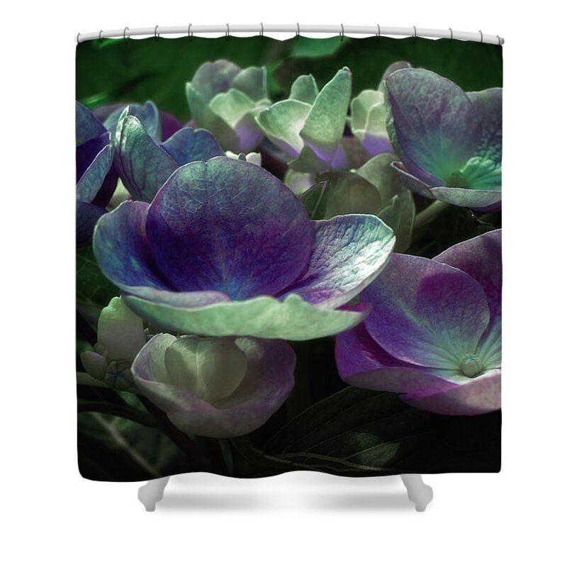 Floral Shower Curtain featuring the photograph Anticipation by Darlene Kwiatkowski