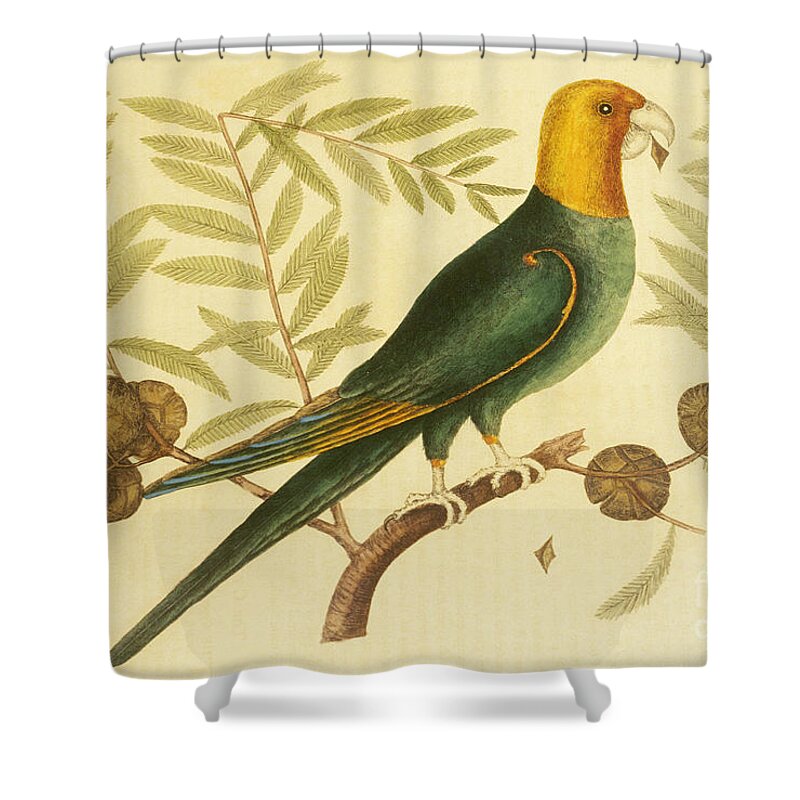 Animal Shower Curtain featuring the photograph Antique Print Of Extinct Carolina by Will and Deni McIntyre
