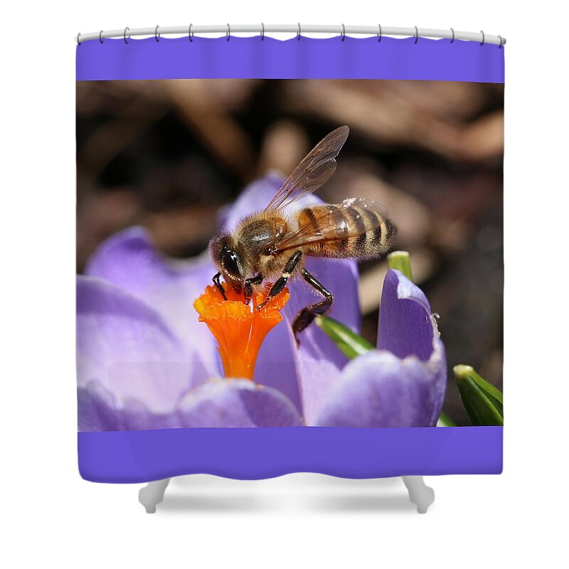 Honeybee Shower Curtain featuring the photograph Any Nectar Down There? by Lucinda VanVleck
