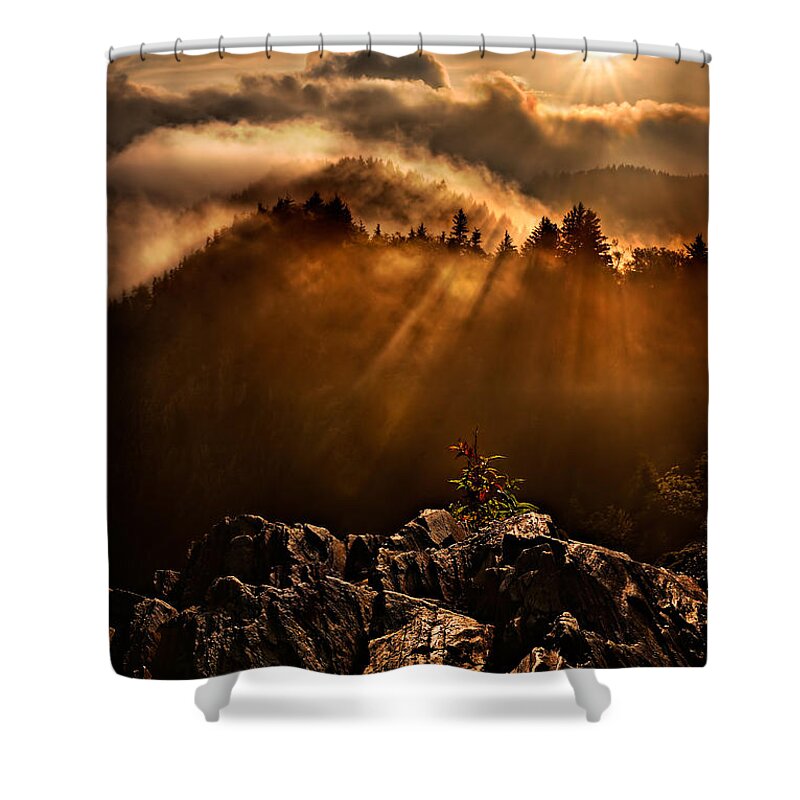 2011 Shower Curtain featuring the photograph Appalachian Dawn by Robert Charity