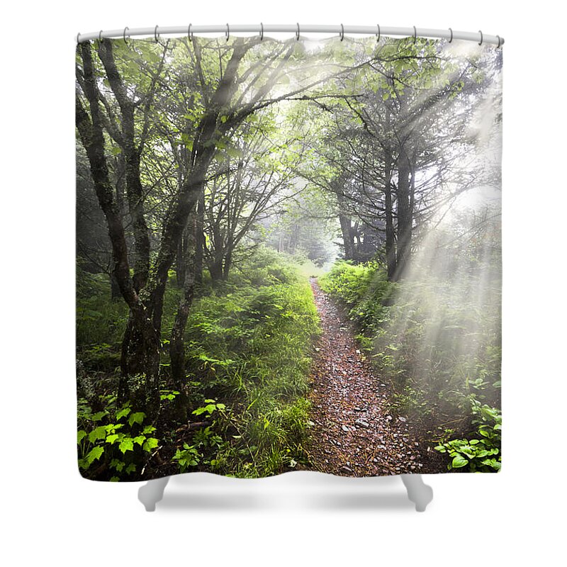 American Shower Curtain featuring the photograph Appalachian Trail by Debra and Dave Vanderlaan
