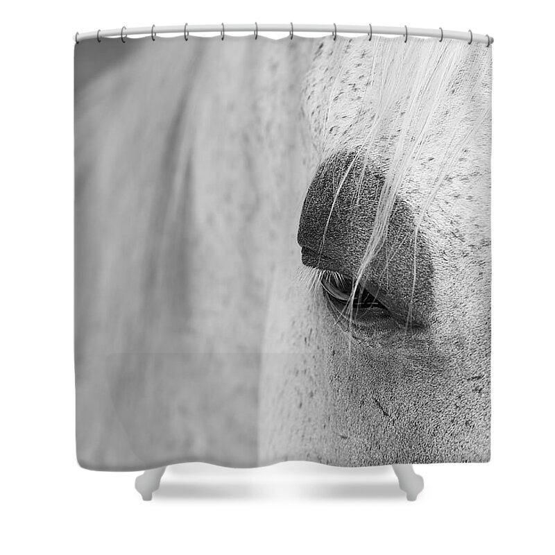 Animals Shower Curtain featuring the photograph Appaloosa Eye by Mary Lee Dereske