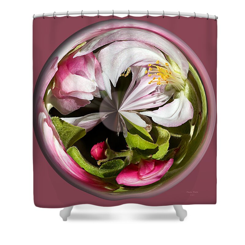 Apple Shower Curtain featuring the photograph Apple Blossom Globe by Phyllis Denton