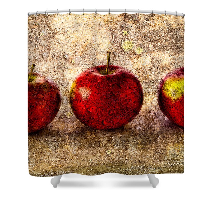 Apple Shower Curtain featuring the photograph Apple by Bob Orsillo