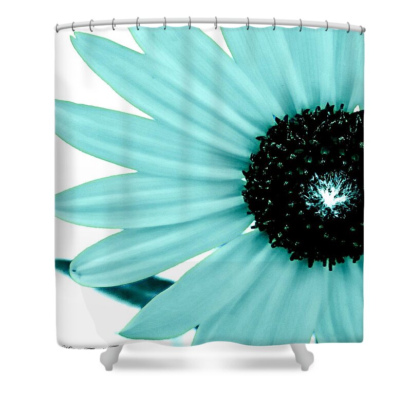 Aquamarine Shower Curtain featuring the photograph Aquamarine sunflower burst by Michelle Frizzell-Thompson