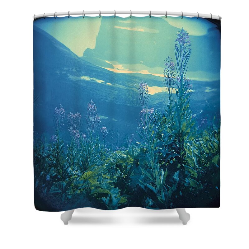 Aquarium Shower Curtain featuring the photograph Aquarium Mountain by Carol Whaley Addassi
