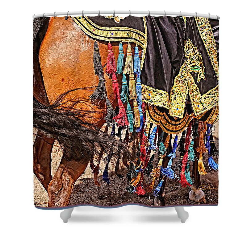 Horses Shower Curtain featuring the photograph Arabian Native Show by Barbara Zahno
