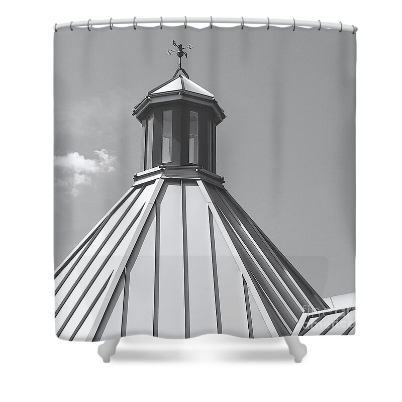 Roof Shower Curtain featuring the photograph Architectural Gray by Ann Horn